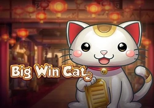 Big Win Cat entertainment game